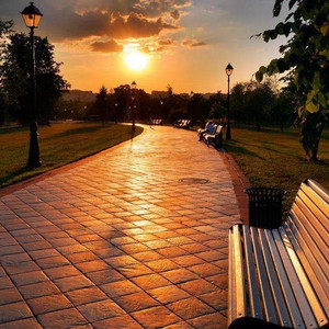 同学的妈妈张姨30出头小说
