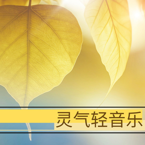 同学的妈妈张姨30出头小说
